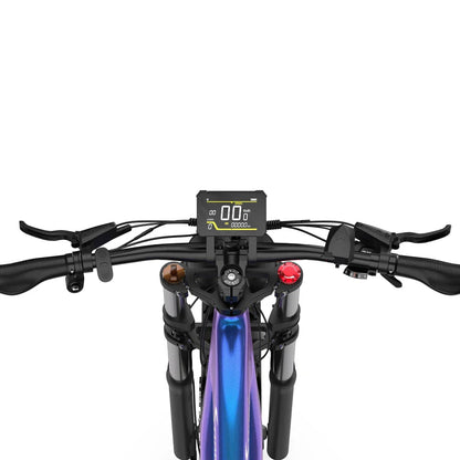 DUOTTS E26 26" SUV Fat Tire Electric Mountain Bike 750W Motor 48V 20Ah Battery LAFLY Factory Ebike Store