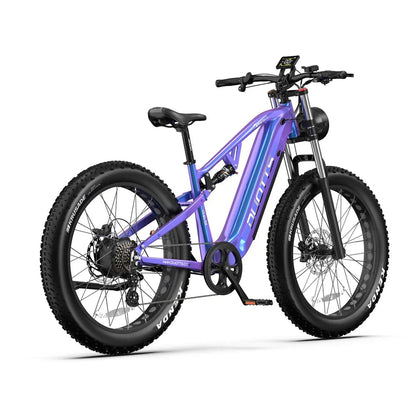 DUOTTS E26 26" SUV Fat Tire Electric Mountain Bike 750W Motor 48V 20Ah Battery LAFLY Factory Ebike Store