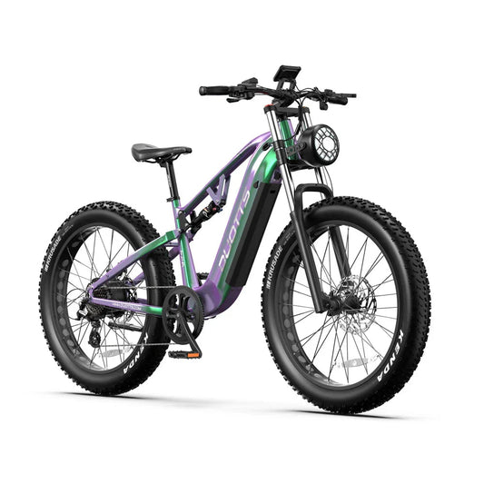 DUOTTS E26 26" SUV Fat Tire Electric Mountain Bike 750W Motor 48V 20Ah Battery LAFLY Factory Ebike Store