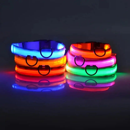 Dog Collar Nylon LED Night Safety Flashing Glow In The Dark Pet Dog Leash pet Dogs Luminous Fluorescent  dog accessories collar Stone's Store