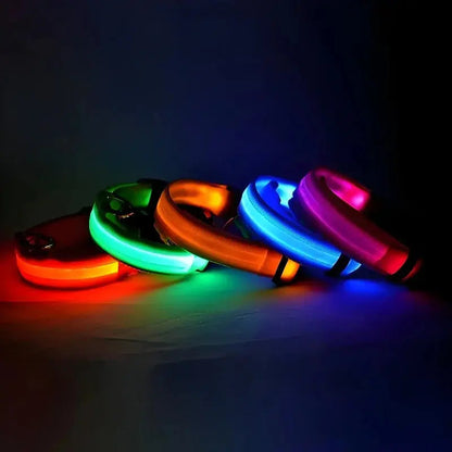 Dog Collar Nylon LED Night Safety Flashing Glow In The Dark Pet Dog Leash pet Dogs Luminous Fluorescent  dog accessories collar Stone's Store