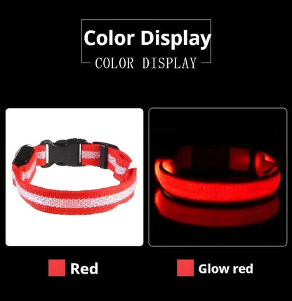 Dog Collar Nylon LED Night Safety Flashing Glow In The Dark Pet Dog Leash pet Dogs Luminous Fluorescent  dog accessories collar Stone's Store
