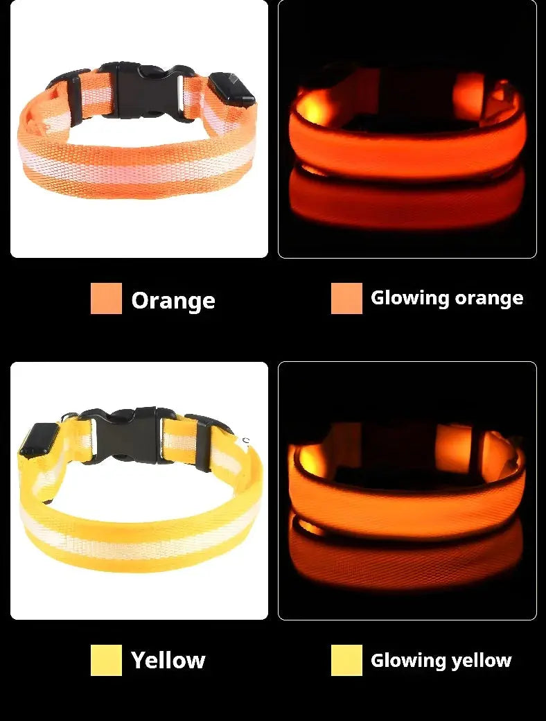 Dog Collar Nylon LED Night Safety Flashing Glow In The Dark Pet Dog Leash pet Dogs Luminous Fluorescent  dog accessories collar Stone's Store