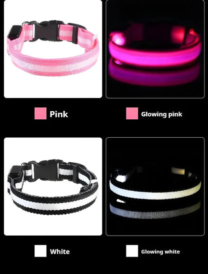 Dog Collar Nylon LED Night Safety Flashing Glow In The Dark Pet Dog Leash pet Dogs Luminous Fluorescent  dog accessories collar Stone's Store