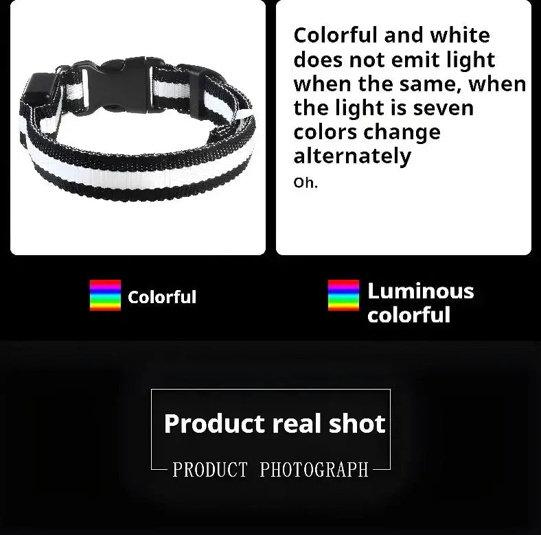 Dog Collar Nylon LED Night Safety Flashing Glow In The Dark Pet Dog Leash pet Dogs Luminous Fluorescent  dog accessories collar Stone's Store