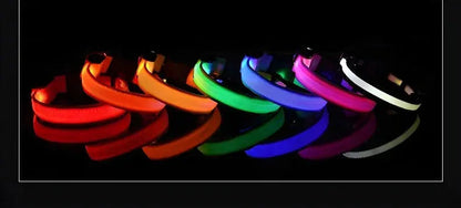 Dog Collar Nylon LED Night Safety Flashing Glow In The Dark Pet Dog Leash pet Dogs Luminous Fluorescent  dog accessories collar Stone's Store