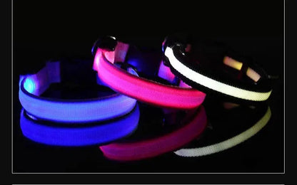 Dog Collar Nylon LED Night Safety Flashing Glow In The Dark Pet Dog Leash pet Dogs Luminous Fluorescent  dog accessories collar Stone's Store