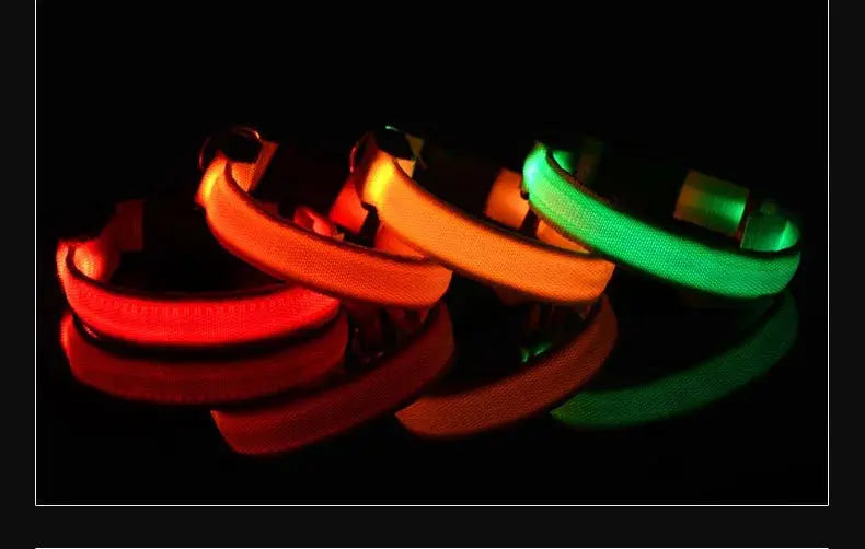 Dog Collar Nylon LED Night Safety Flashing Glow In The Dark Pet Dog Leash pet Dogs Luminous Fluorescent  dog accessories collar Stone's Store