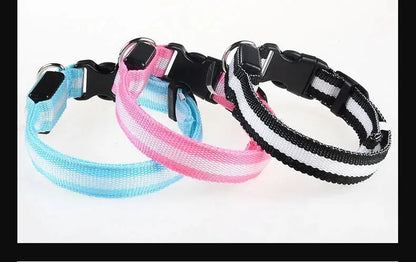 Dog Collar Nylon LED Night Safety Flashing Glow In The Dark Pet Dog Leash pet Dogs Luminous Fluorescent  dog accessories collar Stone's Store