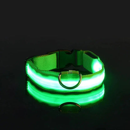 Dog Collar Nylon LED Night Safety Flashing Glow In The Dark Pet Dog Leash pet Dogs Luminous Fluorescent  dog accessories collar Stone's Store