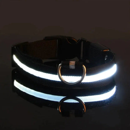Dog Collar Nylon LED Night Safety Flashing Glow In The Dark Pet Dog Leash pet Dogs Luminous Fluorescent  dog accessories collar Stone's Store
