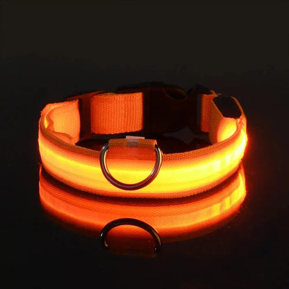 Dog Collar Nylon LED Night Safety Flashing Glow In The Dark Pet Dog Leash pet Dogs Luminous Fluorescent  dog accessories collar Stone's Store