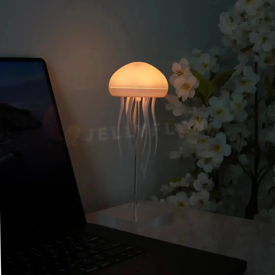 Floating Jellyfish Lamp South Bay Evans General Store