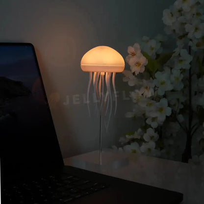 Floating Jellyfish Lamp South Bay Evans General Store