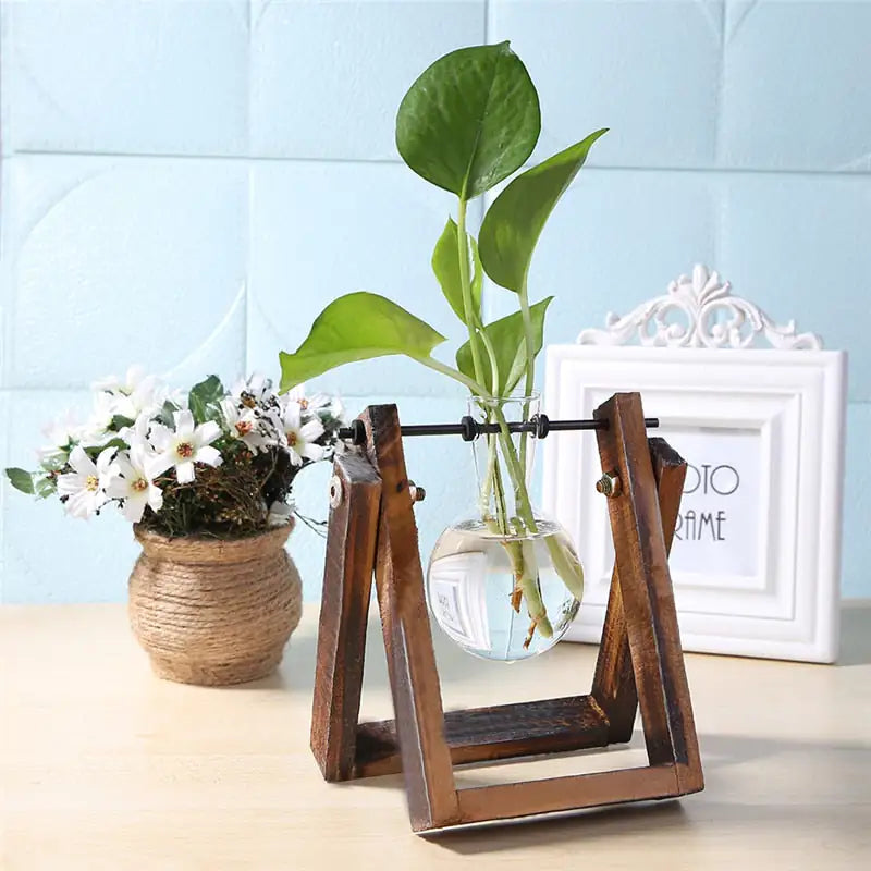 Glass and Wood Vase Planter Table Desktop Tool Dropshipping Store