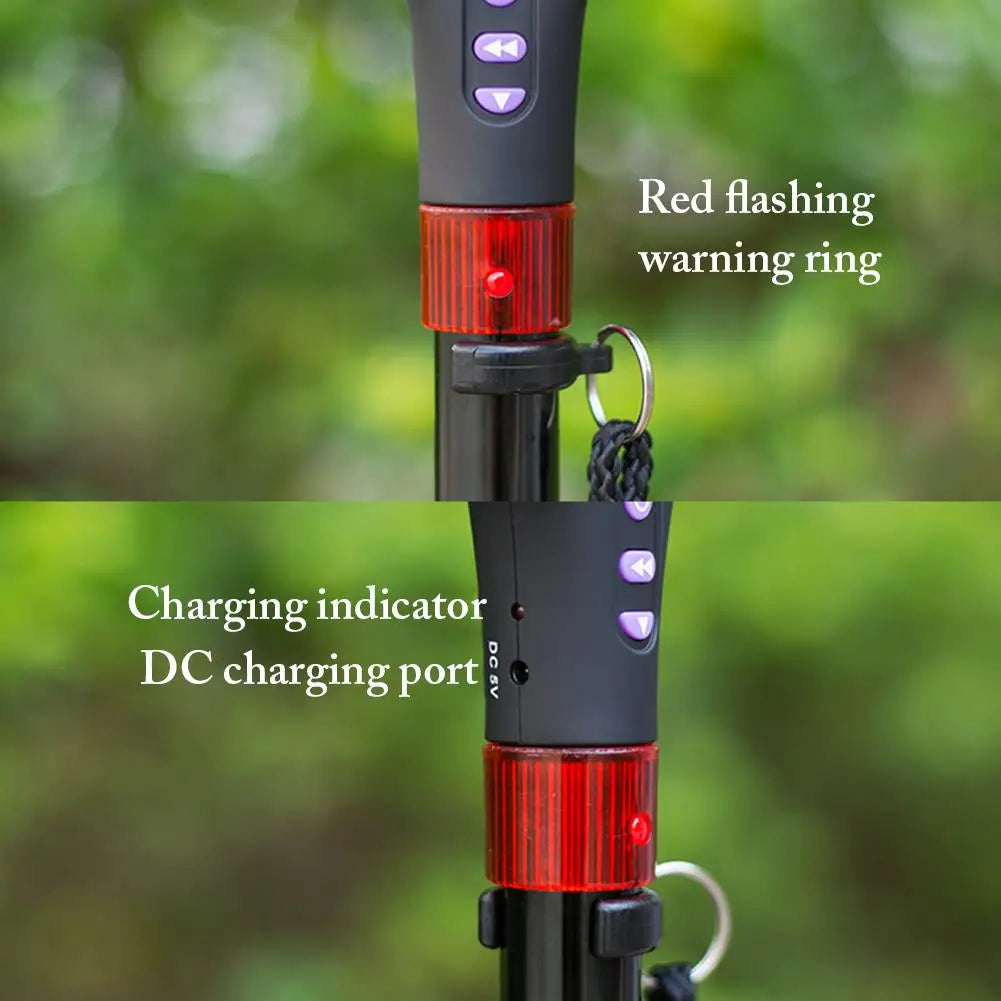 TrailMate Pro: Light, Music, Support in One Dynamic Outdoor Store