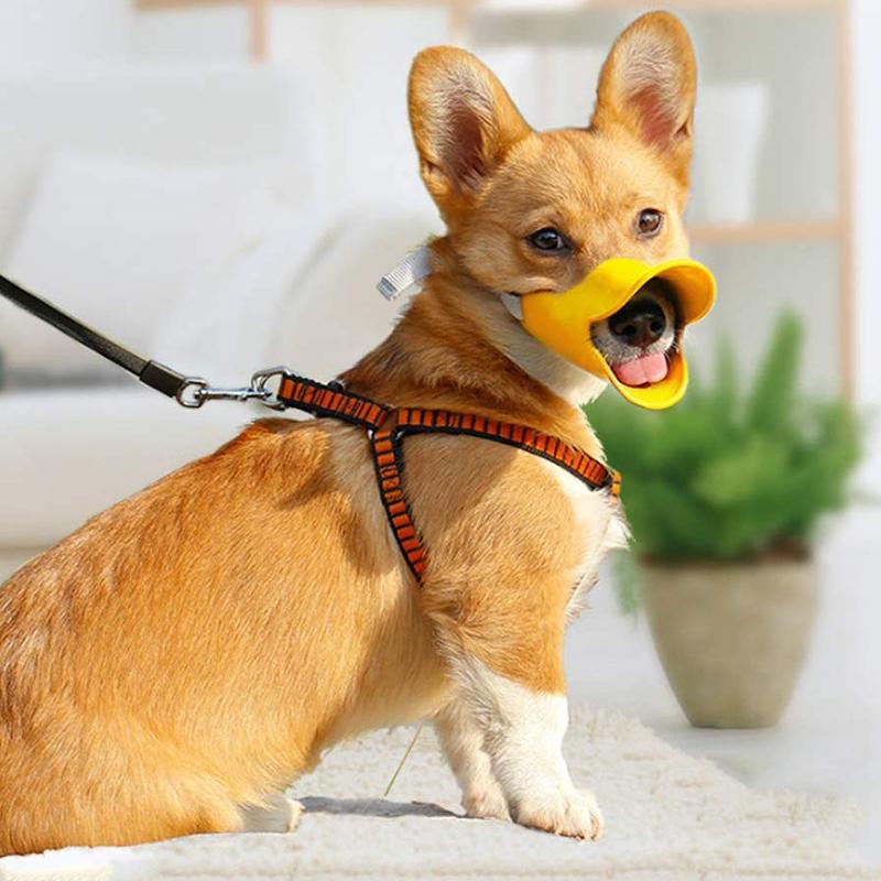 Silicone Dog Muzzle for Small Dogs - Duckbill Design Teal Zeus
