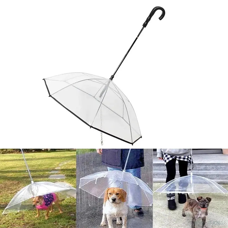 New Transparent Pet Umbrellas Small Dog Umbrella With Dog Leash Iron AliExpress