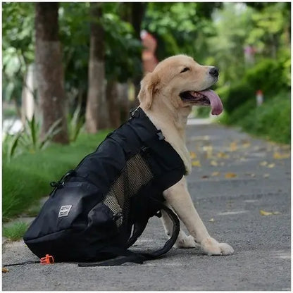 Hiking Pet Dog Carrier Travel Backpack Outdoor Ventilation Breathable AliExpress
