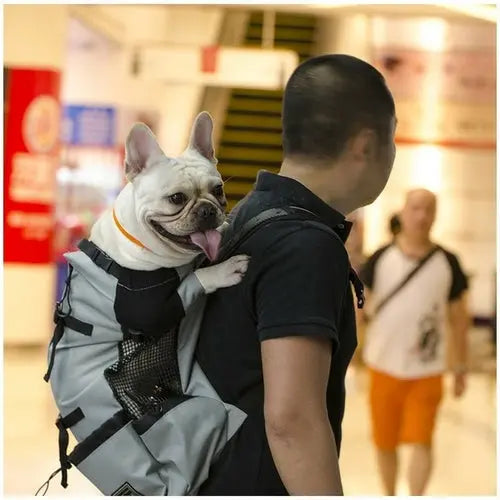 Hiking Pet Dog Carrier Travel Backpack Outdoor Ventilation Breathable AliExpress