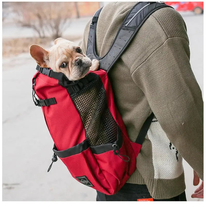 Hiking Pet Dog Carrier Travel Backpack Outdoor Ventilation Breathable AliExpress