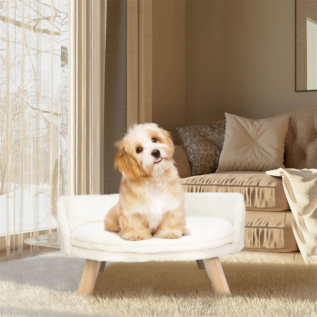 NordicPaws Elevated Bed: Style, Comfort & Waterproof Ease LUVODI HOME Store