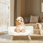 NordicPaws Elevated Bed: Style, Comfort & Waterproof Ease LUVODI HOME Store