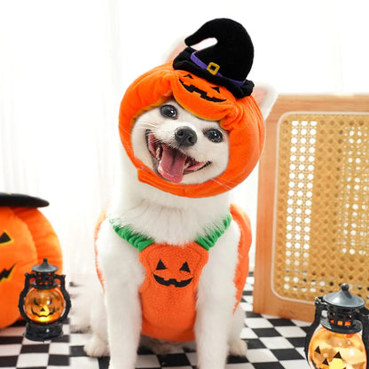 Pet Pumpkin Costume, Dog Funny Halloween Hat Cloth Suit, Adjustabe Cosplay Party Apparel for Cat Kitten Puppy South Bay Evans General Store