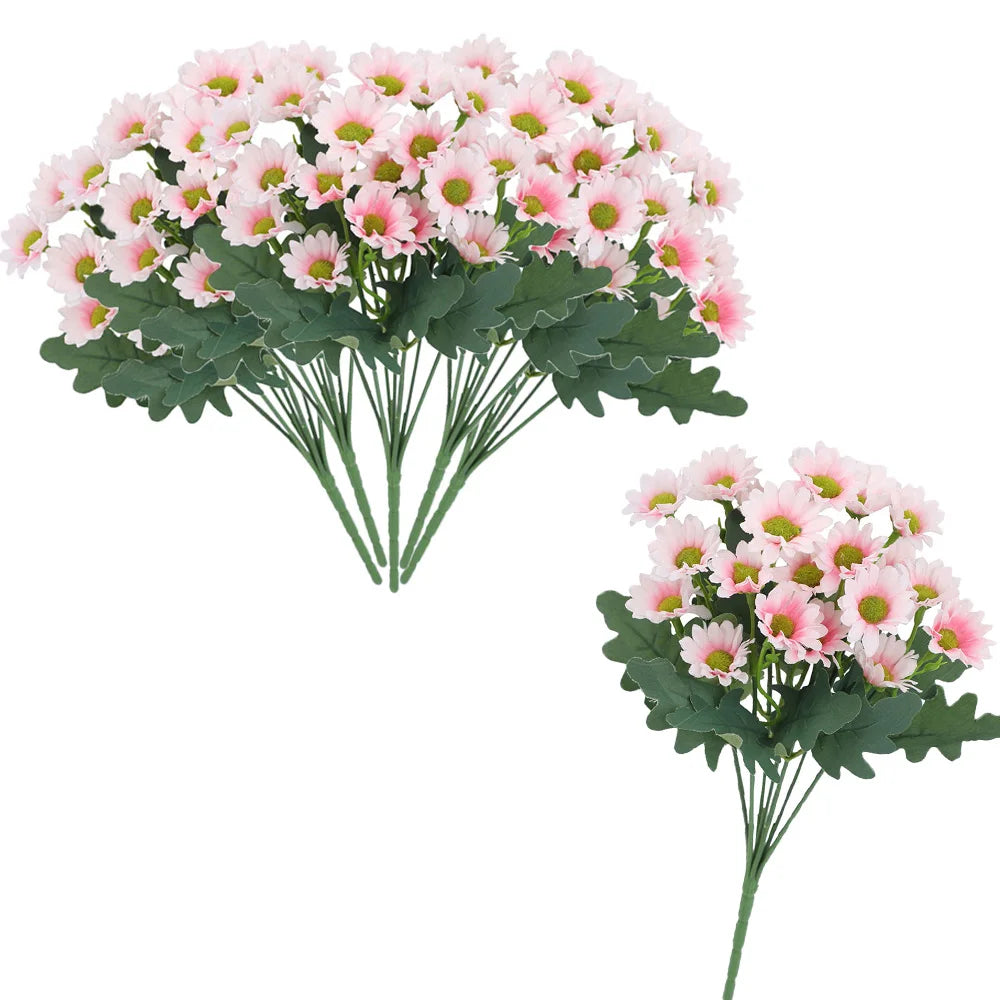 SunsetBloom™ – Crisantemos de exterior duraderos