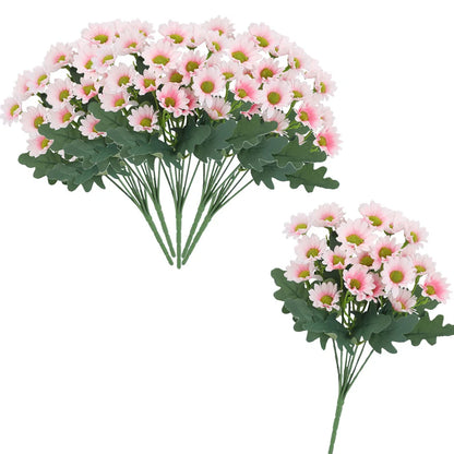 SunsetBloom™ – Everlasting Outdoor Mums