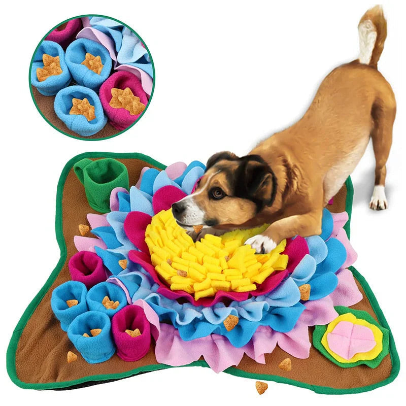 ScentQuest Interactive Sniffing Mat – SniffMaster Uncle Bill Kitchen Store