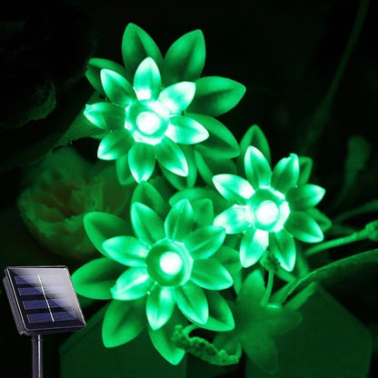 BlossomGlow – Solar-Powered Cherry Blossom Lights Shop1103809145 Store