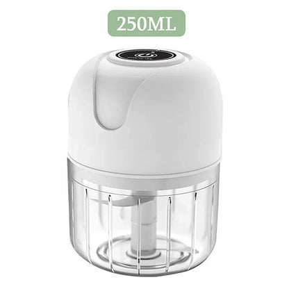 Mini Electric Garlic Chopper USB Meat Grinder Garlic Masher Machine AliExpress