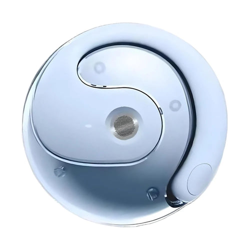 Wireless BT Translation Earbuds Real-time Translation Language AliExpress