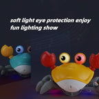 Crawling Crab Toy Shop1102486466 Store