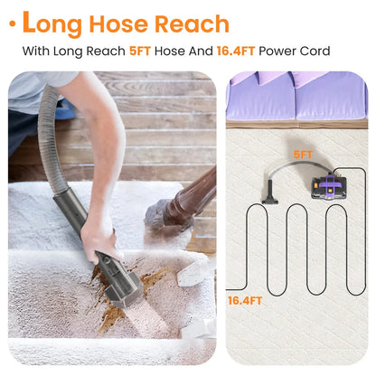 TASVAC C7 Portable Carpet & Upholstery Cleaner Machine, Spot And Stain Deep Cleaner With Two Brushes & Remover Formula For Pets, Inselife Store