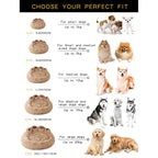 Comfy Cozy Bed - Plush Sofa for Pets FIYO Department Store
