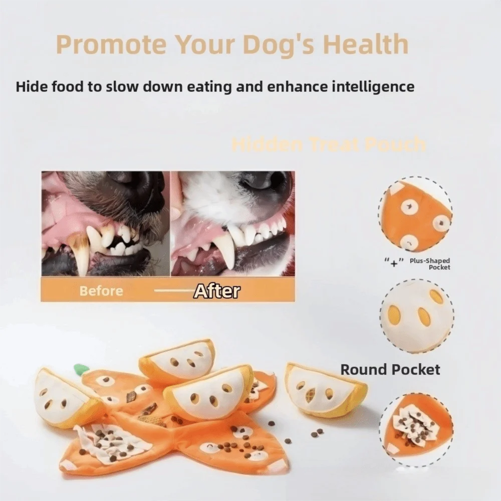 OrangeQuest™ Hide-and-Seek Toy 🍊🐾 Sniff. Search. Smile.