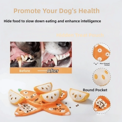 OrangeQuest™ Hide-and-Seek Toy 🍊🐾 Sniff. Search. Smile.
