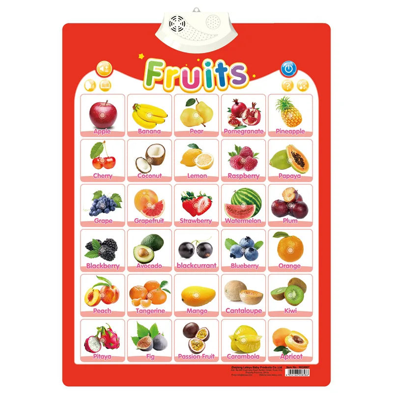 Interactive ABC Learning Poster Stone's Store