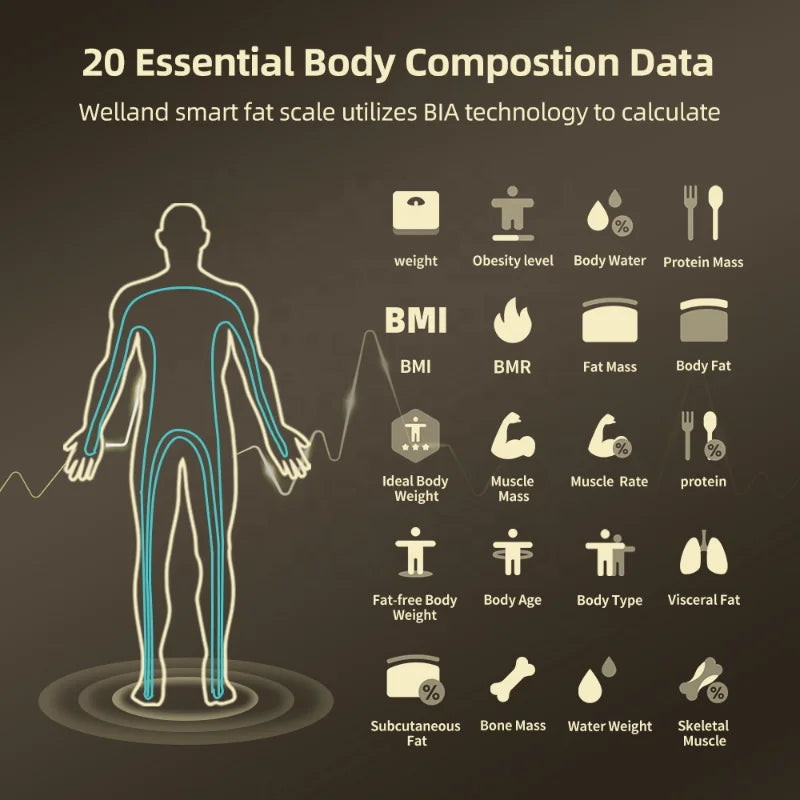 FitSense Pro: Precision Body Analysis icomon Official Store