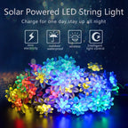 BlossomGlow – Solar-Powered Cherry Blossom Lights Shop1103809145 Store