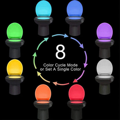 16 Colour LED Toilet Nightlight with Motion Sensor | Auto-Sensing Smart Bathroom Light SANDYHA 09 Indoor Lighting Store