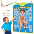 Interactive ABC Learning Poster Stone's Store