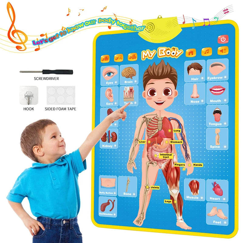 Interactive ABC Learning Poster Stone's Store