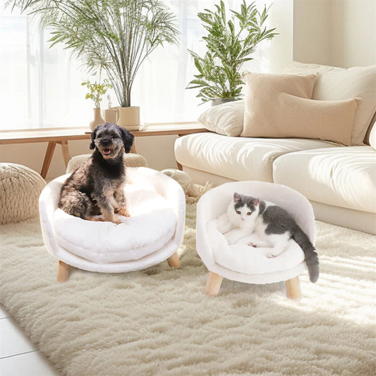 NordicPaws Elevated Bed: Style, Comfort & Waterproof Ease LUVODI HOME Store
