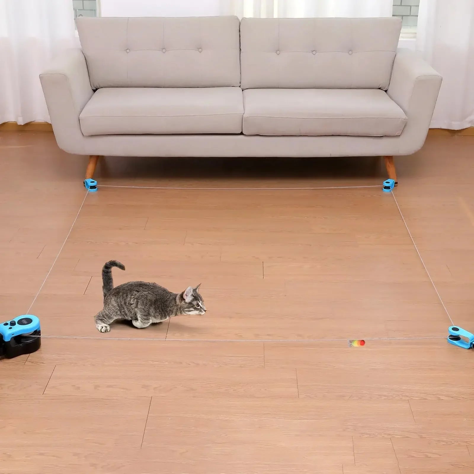 ChaseWhisker™ – Exercise Made Fun for Lazy Cats 😺💨