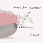 Professional LED Pet Nail Clippers Zongha Loja Store