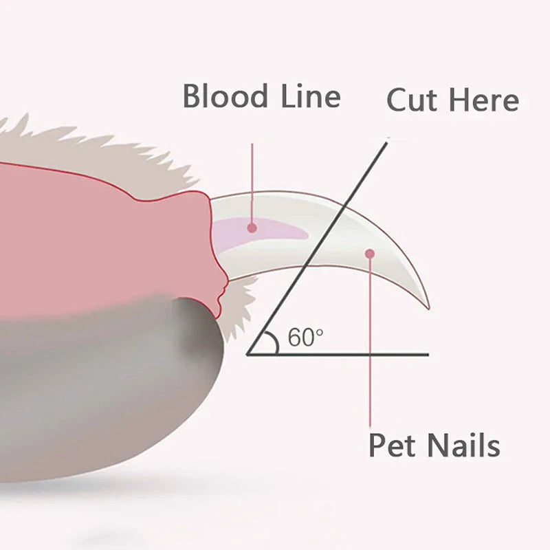 Professional LED Pet Nail Clippers Zongha Loja Store