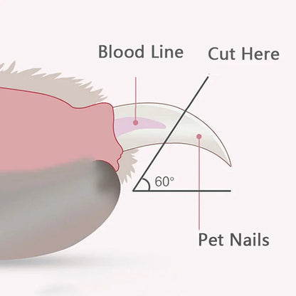Professional LED Pet Nail Clippers Zongha Loja Store